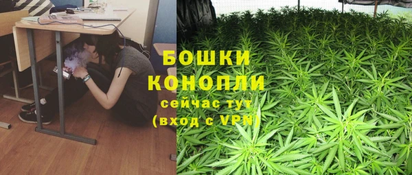 эйфоретик Арсеньев