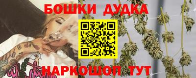 дурь Славгород