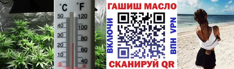 купить наркотик Ногинск Дистиллят ТГК гашишное масло