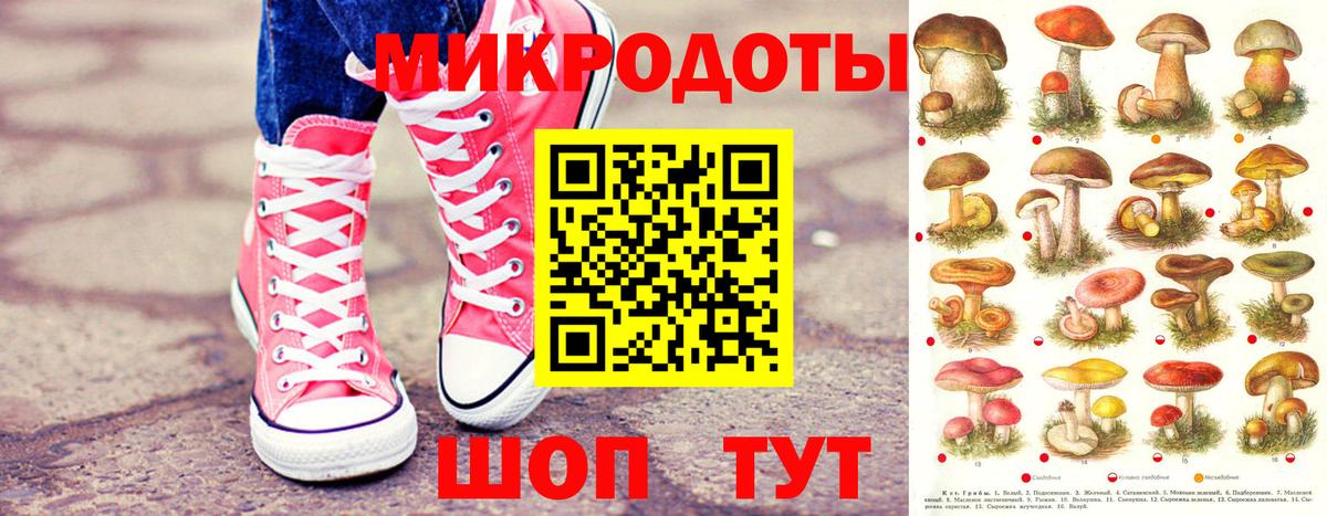 Псилоцибиновые грибы Magic Shrooms Ногинск