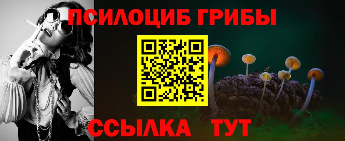 где продают наркотики  Галлюциногенные грибы Cubensis  Ногинск  Вход с VPN  Псилоцибиновые грибы Cubensis 