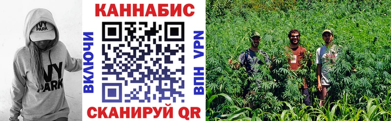 Марихуана конопля Ногинск