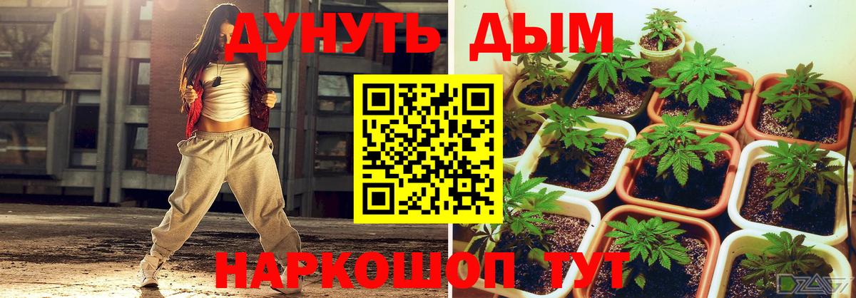 МАРИХУАНА семена  Вход с VPN  Ногинск  Марихуана Amnesia  Марихуана Amnesia 